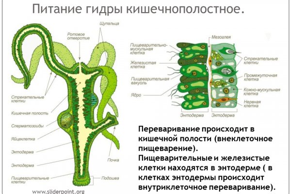 Кракен тг ссылка